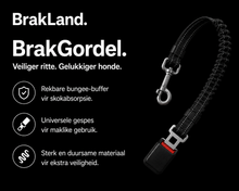 Load image into Gallery viewer, BrakGordel- Verstelbare Veiligheidsriem