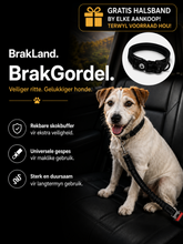 Load image into Gallery viewer, BrakGordel- Verstelbare Veiligheidsriem
